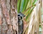 Ar119793246039755_l