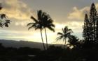 2 palms at sunset    <a href="www.CaHousingBlog.com">www.CaHousingBlog.com</a>