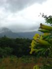 Princeville - Trumpets to the Rain   <a href="www.CaHousingBlog.com">www.CaHousingBlog.com</a>