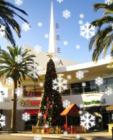 Downtown Birch Street Christmas tree. Photo by Lynda Eisenmann