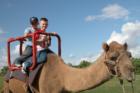 Fall Festival in Cinco Ranch.  Pictured are the great-great nephews of Liz Carter, resident since 1992, and local Realtor since 1976.  Brian & Chirs Murray riding a camel.  The HOA sponsors this event and many more free to residents throughout the year.