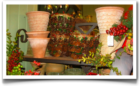 Carlson's Greenhouse at Christmas