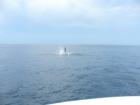 From a Distance