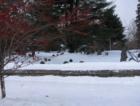 Old Burying Ground in Groton