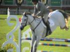 National Horse Show Wellington Florida