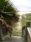 looking off a deck onto sunny beach