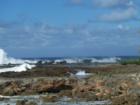 Sharks Cove and swimming pond