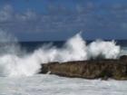North side of Sharks Cove