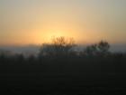 Early morning....sunrise....in Bastrop, TX