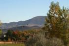 Natural Beauty of Wildlife www.CatherineNevadaHomes.com ~ Homes for Sale