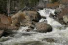 Beautiful Truckee River www.CatherineNevadaHomes.com ~ Homes for Sale