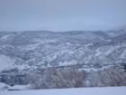 Bountiful Utah
      Snowy Day Mueller Park