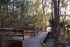 Lake Alice on UF Campus - Submitted by Bosshardt Realty www.BosshardtRealty.com