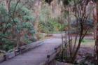 Lake Alice Nature Trail on UF Campus - Submitted by Bosshardt Realty www.BosshardtRealty.com