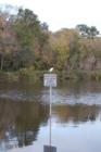Lake Alice Nature Trail on UF Campus - Submitted by Bosshardt Realty www.BosshardtRealty.com