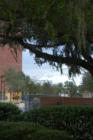 UF Campus - Submitted by Bosshardt Realty www.BosshardtRealty.com