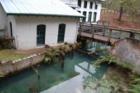 Bulwark Springs, historic Gainesville Waterworks Station - Submitted by Bosshardt Realty www.BosshardtRealty.com