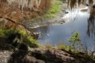 Hawthorne Trail in Gainesville, FL - Submitted by Bosshardt Realty www.BosshardtRealty.com