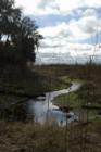 Hawthorne Trail in Gainesville, FL - Submitted by Bosshardt Realty www.BosshardtRealty.com