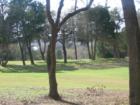 Looking across the golf course towards the Colorado River in the background