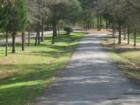 The divided parkway meanders to the clubhouse.  Lovely executive custom homes line the way.