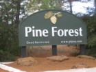 Entry to Pine Forest on McAllister Road off of Hwy 71