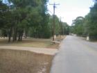 McAllister Road thru Pine Forest