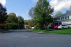 A typical Westridge tree lined street