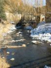 Bear Creek in Downtown