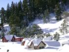 Tiny Town during the Blizzard in 2006