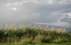Ar119831516340393_l