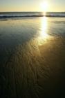Mother Nature sculpting the sand