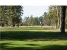 Fairway of golf course.