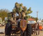 A yard art Tractor