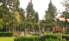 The rose garden, like a step back in time at George Washington Park in Anaheim. Photo by Lynda Eisenmann
