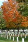 Arlington Cemetery in the Fall