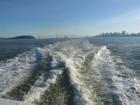 Larkspur Ferry Wake with the Bay Bridge in the background.