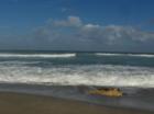 Ocean