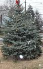 New Milford Christmas time