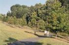 There are numerous walking trails in Kingstowne