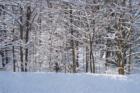 Nashua - White Christmas (c) 2007 Joan Whitebook