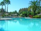 Saddlebrook Resort