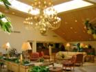 Saddlebrook Resort