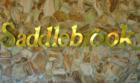 Saddlebrook Resort