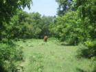 Down by the river on one of the lots in Hidden Shores