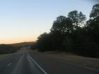 Hwy 71  weaving thru the pines in Bastrop 