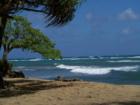 Beach shot around Kaaawa