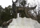 Another picture of the World War I monument to dogs that served with our armed forces.