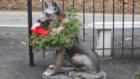 Photo of the dog  standing guard over the Hartsdale Pet Cemetery entrance. He is decked out for the holiday season. 