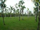 Ar119875826727303_l